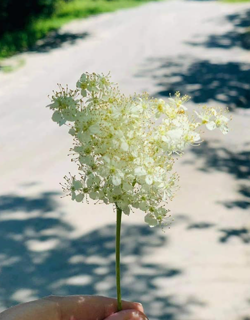 Capture d’e´cran 2021-07-31 a` 13